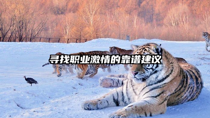 寻找职业激情的靠谱建议