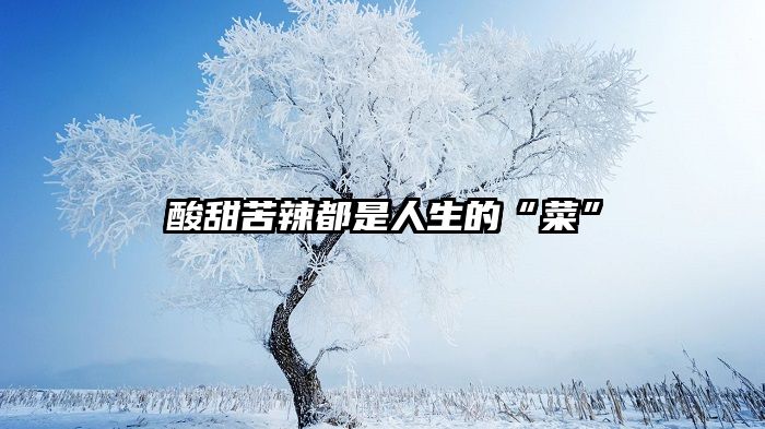 酸甜苦辣都是人生的“菜”