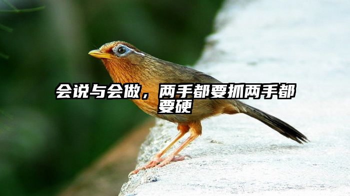 会说与会做,两手都要抓两手都要硬