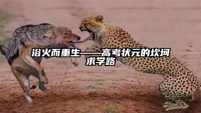 浴火而重生——高考状元的坎坷求学路