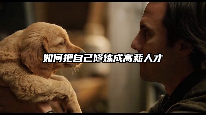 如何把自己修炼成高薪人才