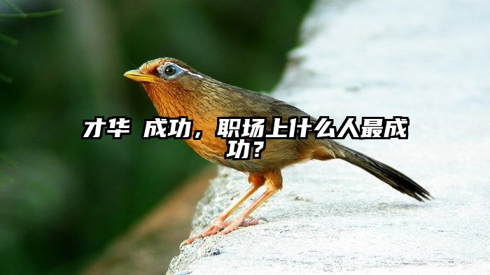 才华≠成功，职场上什么人最成功？