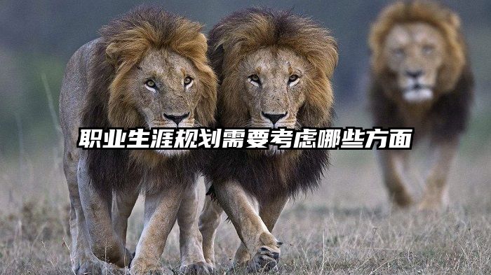 职业生涯规划需要考虑哪些方面