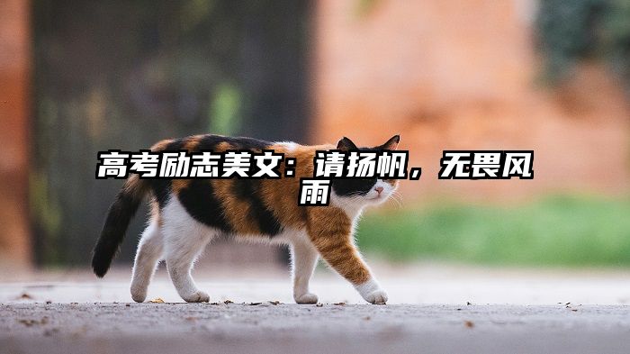 高考励志美文:请扬帆,无畏风雨