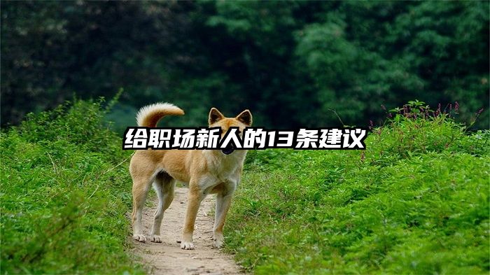 给职场新人的13条建议