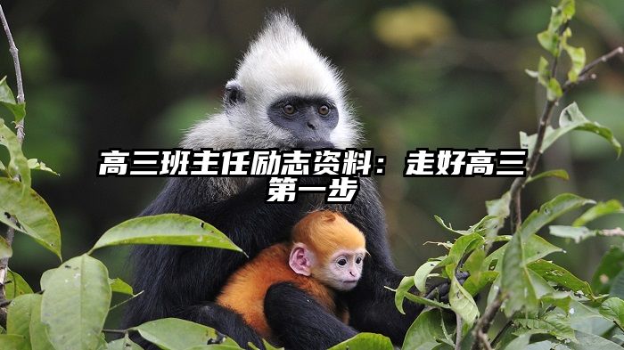 高三班主任励志资料：走好高三第一步