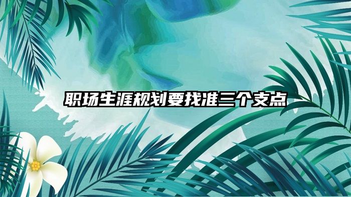 职场生涯规划要找准三个支点