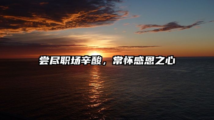 尝尽职场辛酸，常怀感恩之心