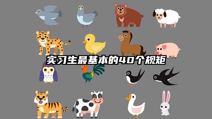 实习生最基本的40个规矩