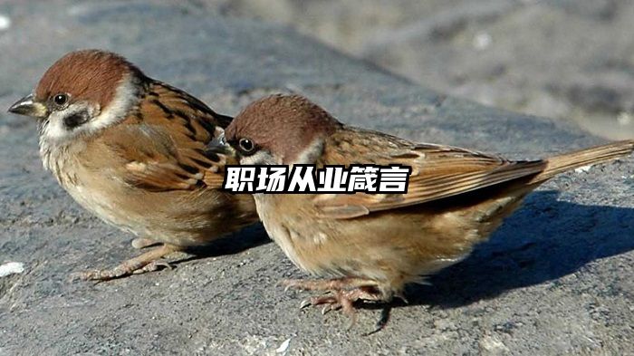 职场从业箴言