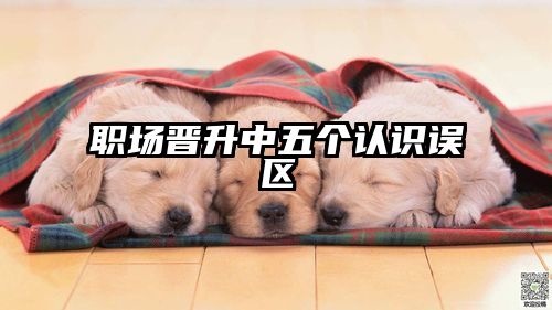 职场晋升中五个认识误区