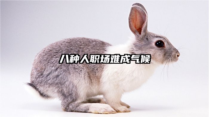 八种人职场难成气候