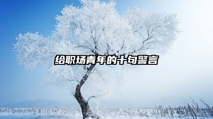 给职场青年的十句警言