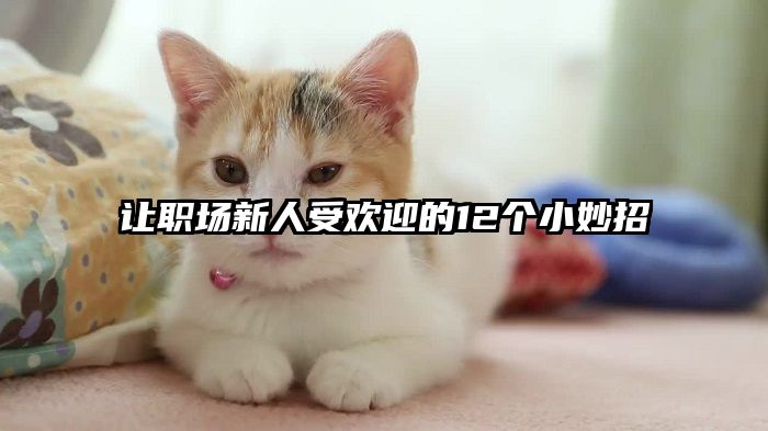 让职场新人受欢迎的12个小妙招