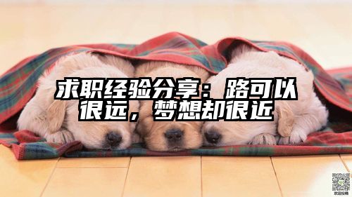 求职经验分享：路可以很远，梦想却很近