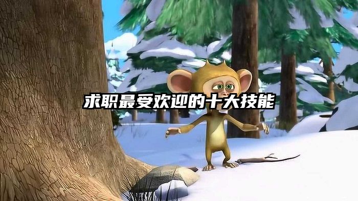 求职最受欢迎的十大技能