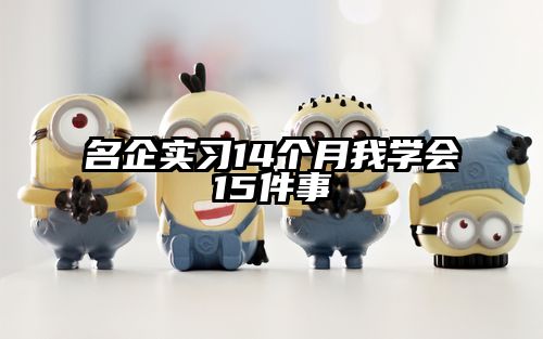 名企实习14个月我学会15件事
