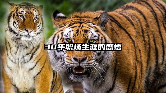 30年职场生涯的感悟