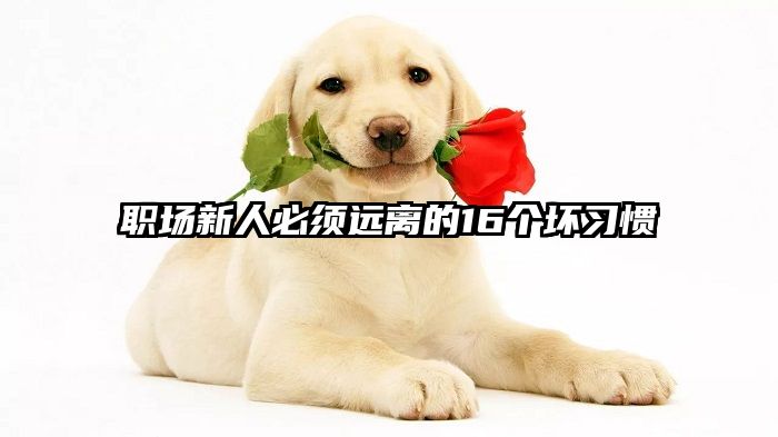 职场新人必须远离的16个坏习惯