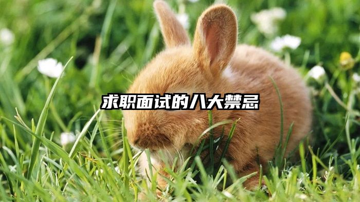 求职面试的八大禁忌