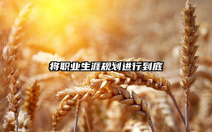 将职业生涯规划进行到底