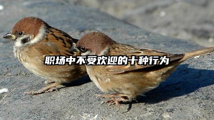 职场中不受欢迎的十种行为