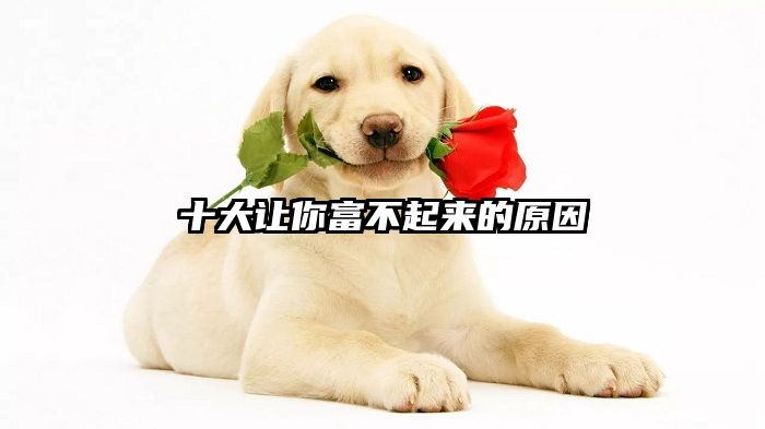十大让你富不起来的原因