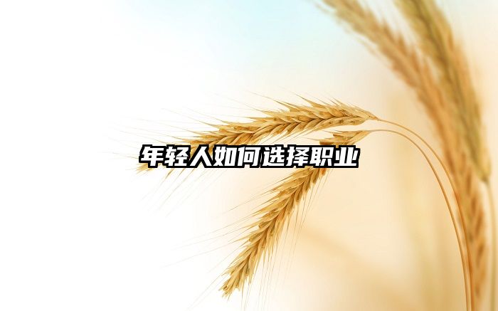 年轻人如何选择职业