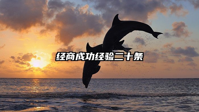 经商成功经验二十条