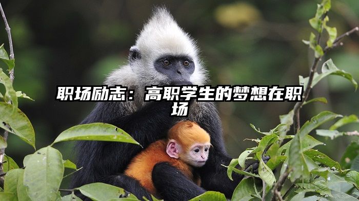 职场励志:高职学生的梦想在职场