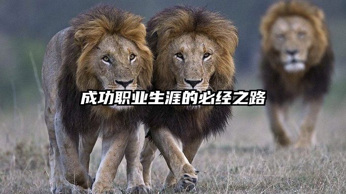成功职业生涯的必经之路