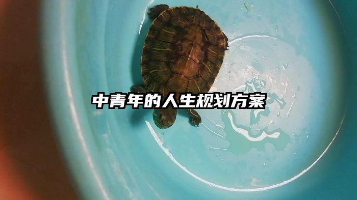 中青年的人生规划方案