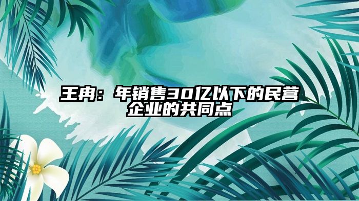 王冉:年销售30亿以下的民营企业的共同点