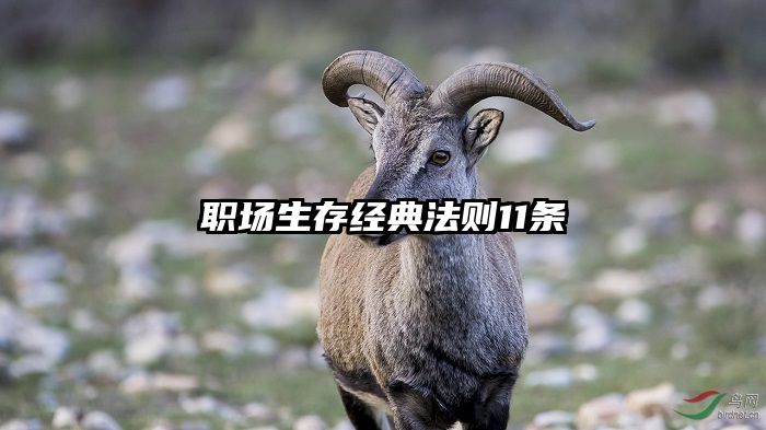 职场生存经典法则11条