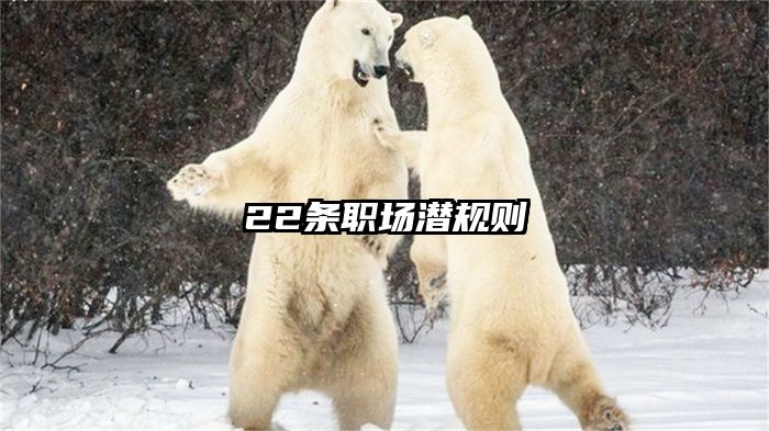 22条职场潜规则