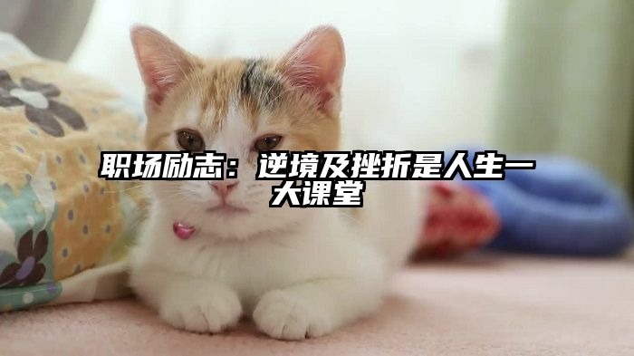 职场励志:逆境及挫折是人生一大课堂
