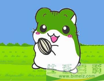 小田鼠吉吉和小刺猬点点