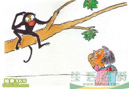 带一只小猴子回家