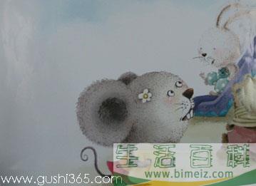 阿文的小毯子