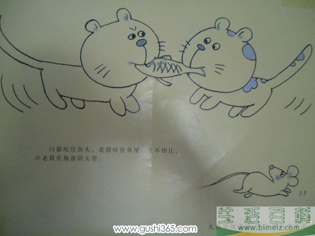 两只小猫争食