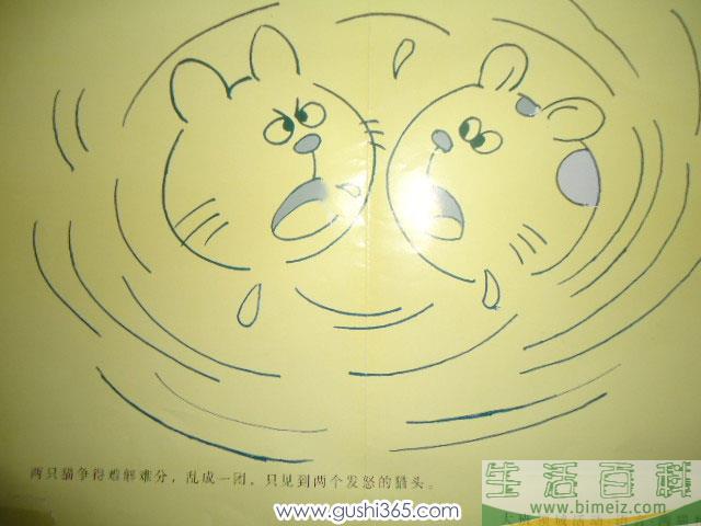 两只小猫争食