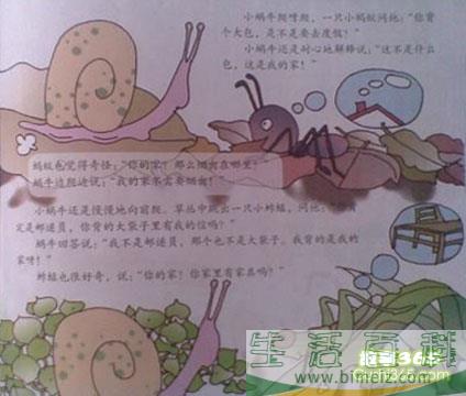 小蜗牛的家