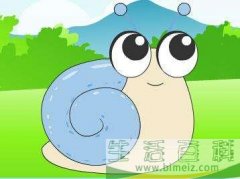 小蜗牛的微笑