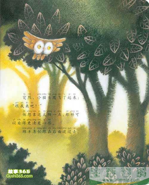 胆小的猫头鹰