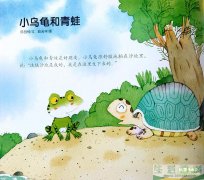 小乌龟和青蛙