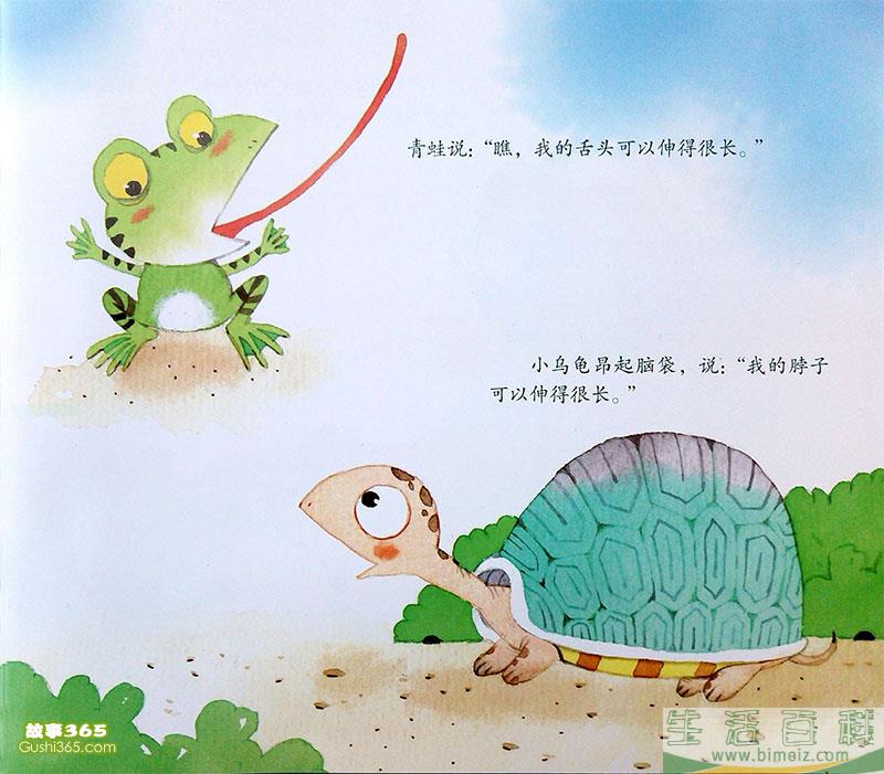 小乌龟和青蛙