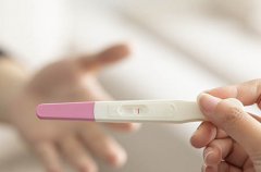 小蜜蜂啫喱的故事