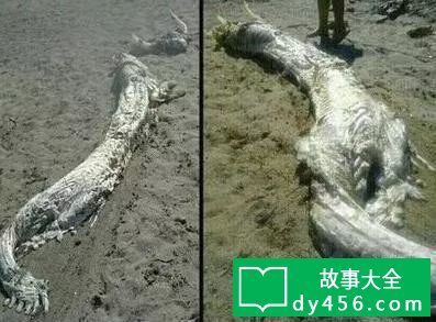 龙是否真的存在