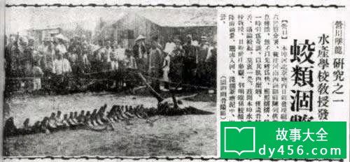 龙是否真的存在