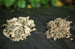 我爱你的故事